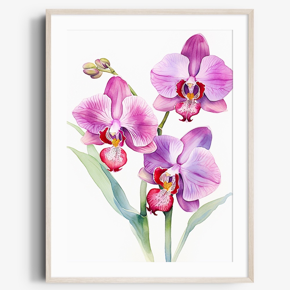 Watercolor Orchids Wall Art Illustration Print Poster Unframed - Picture 1 of 6
